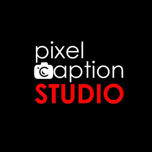 Pixel Caption